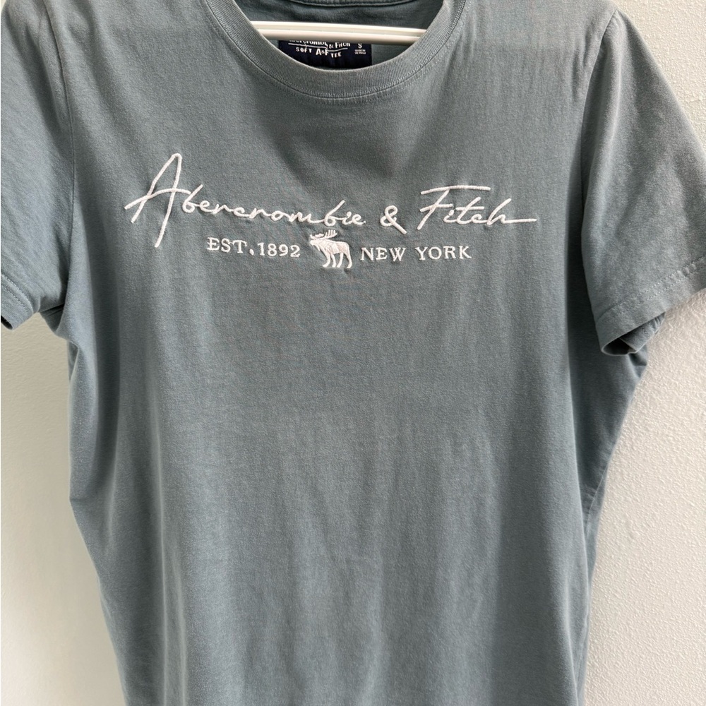 Abercrombie & Fitch Gray T-Shirt